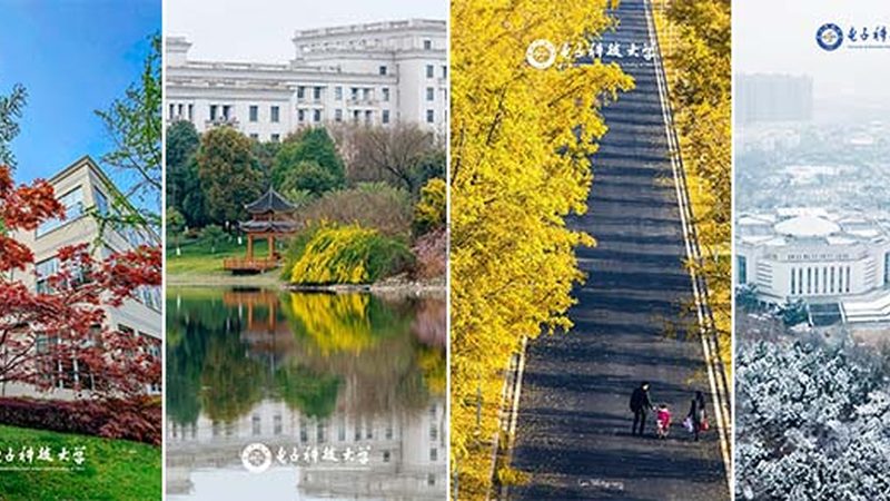 电子元件采购报价单模板