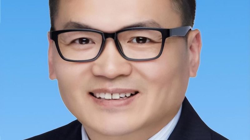 隧道二极管与变容二极管：耐压性能对比解析